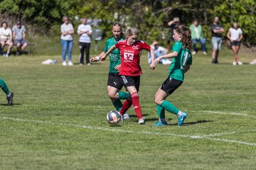 Bild 383 - F SG NieBar - IF Stjernen Flensborg : Ergebnis: 2:0